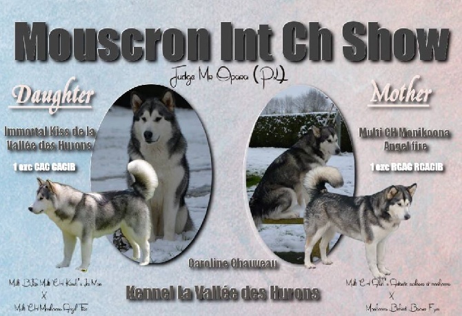 de la Vallée des Hurons - Dog Show International Mouscron 2015 : Doublet Mere et Fille !!!!