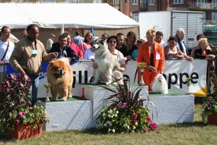 de la Vallée des Hurons - Meilleur Championne de l'exposition 